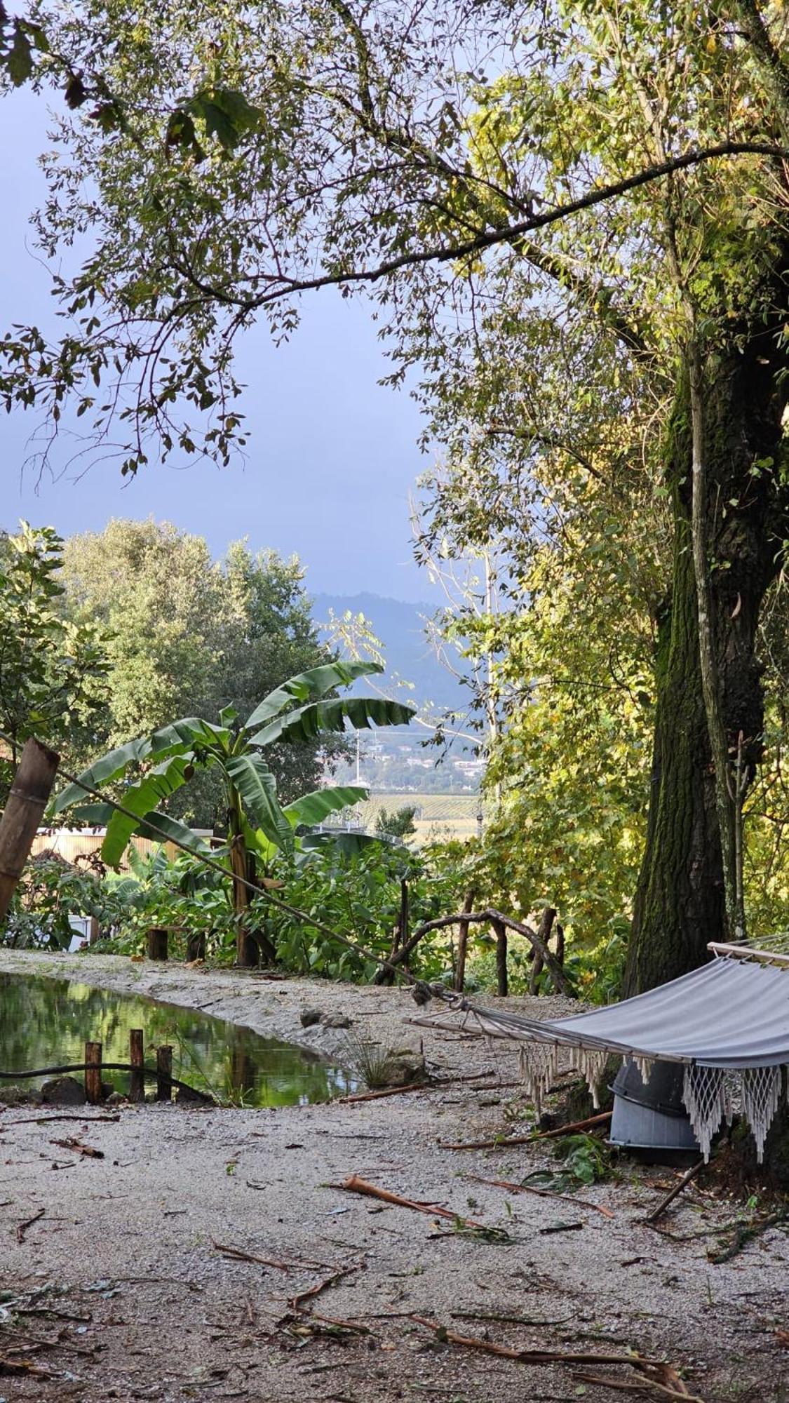 Quinta Miminel Hotel Rabuide Exterior photo